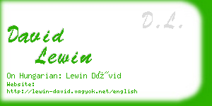 david lewin business card